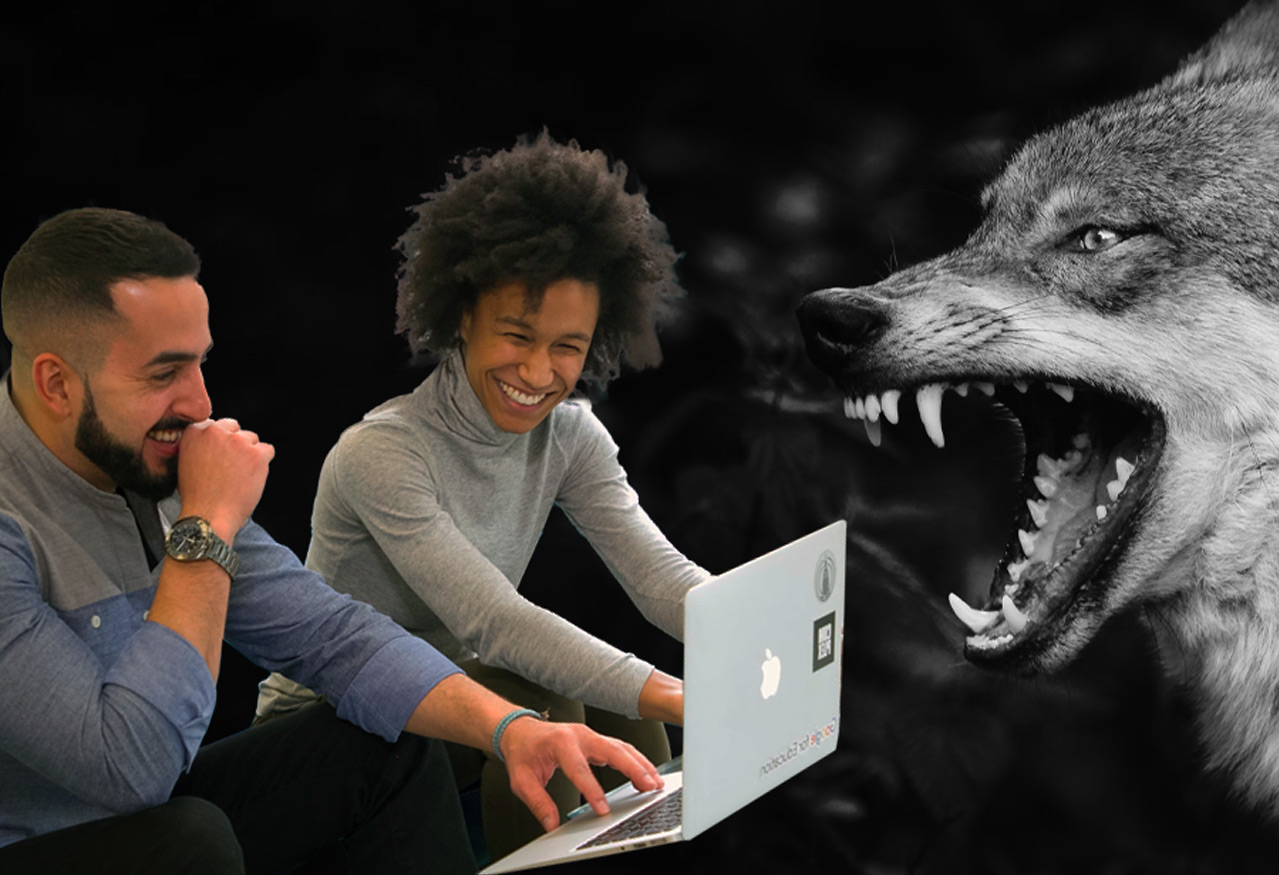 A couple of very smiley consultants looking at a laptop next to a seemingly angry gray wolf