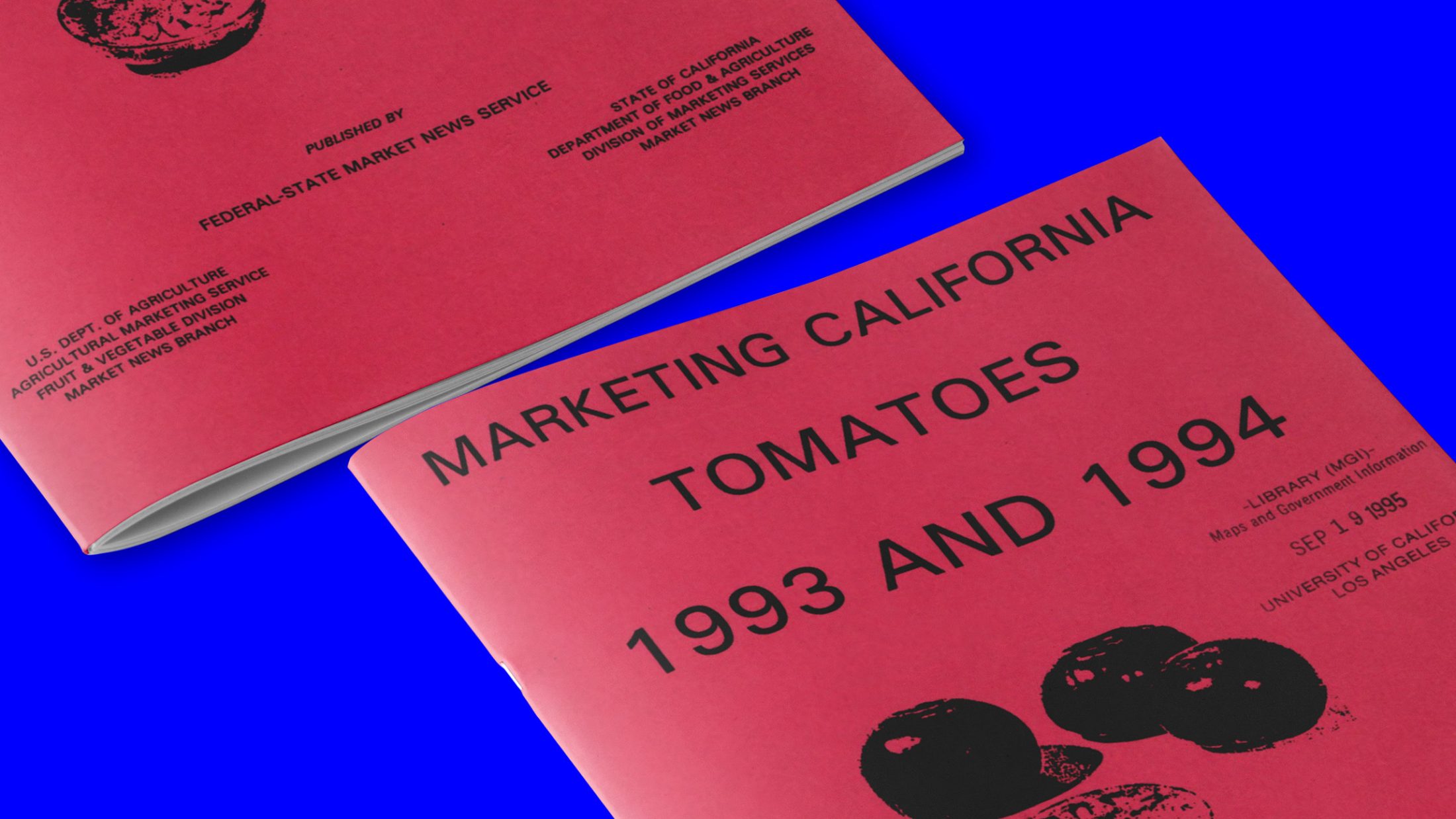 A faded but vibrant USDA Fruit and Vegetable Market News red pamphlet on a blue background reads "Marketing California Tomatoes 1993 and 1994"