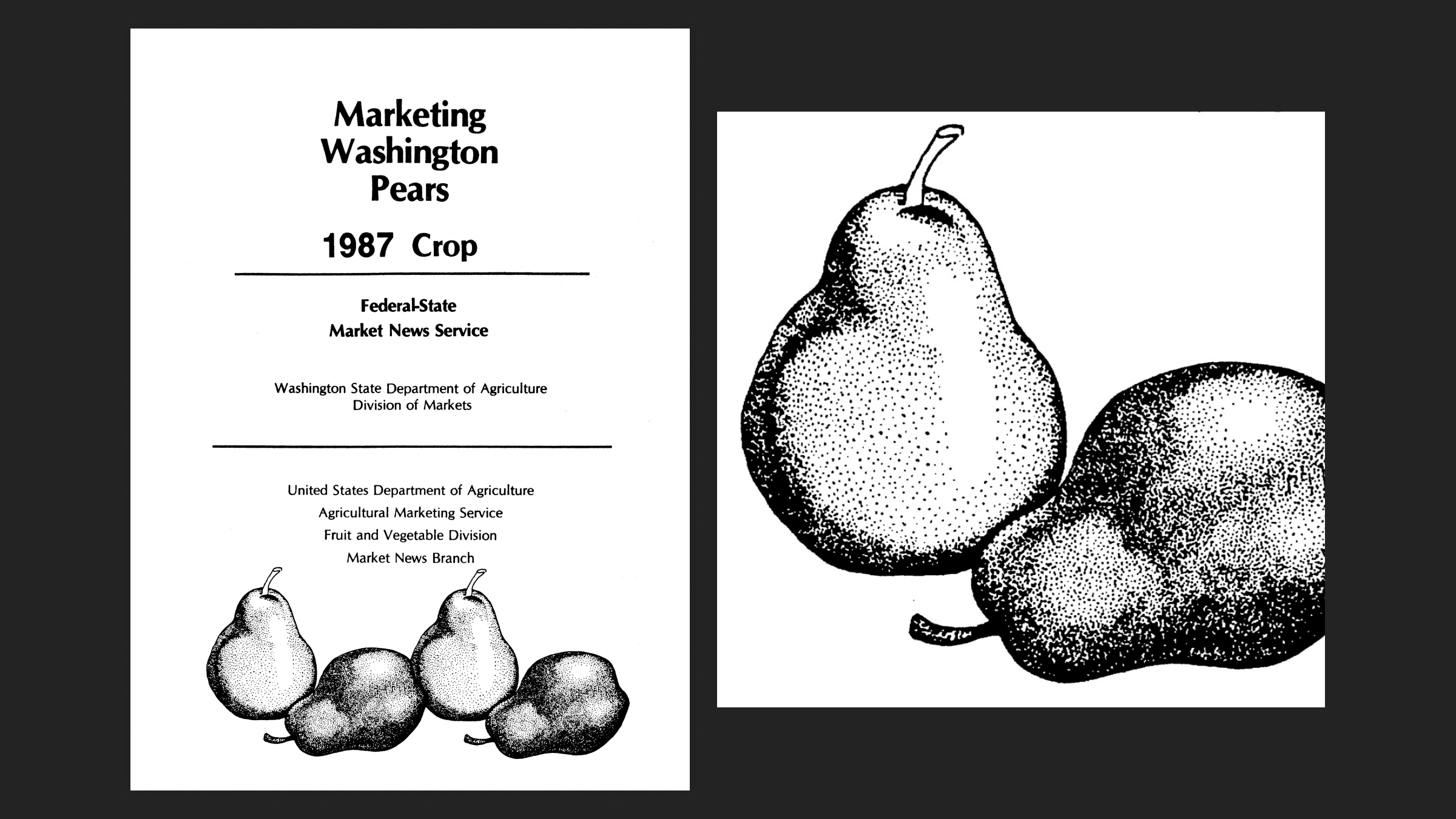 A white USDA publication on black that reads: Marketing Washington Pears, 1987 Crop, Federal-State Market News Service; and an illustrated stippling of 4 pears are at the bottom