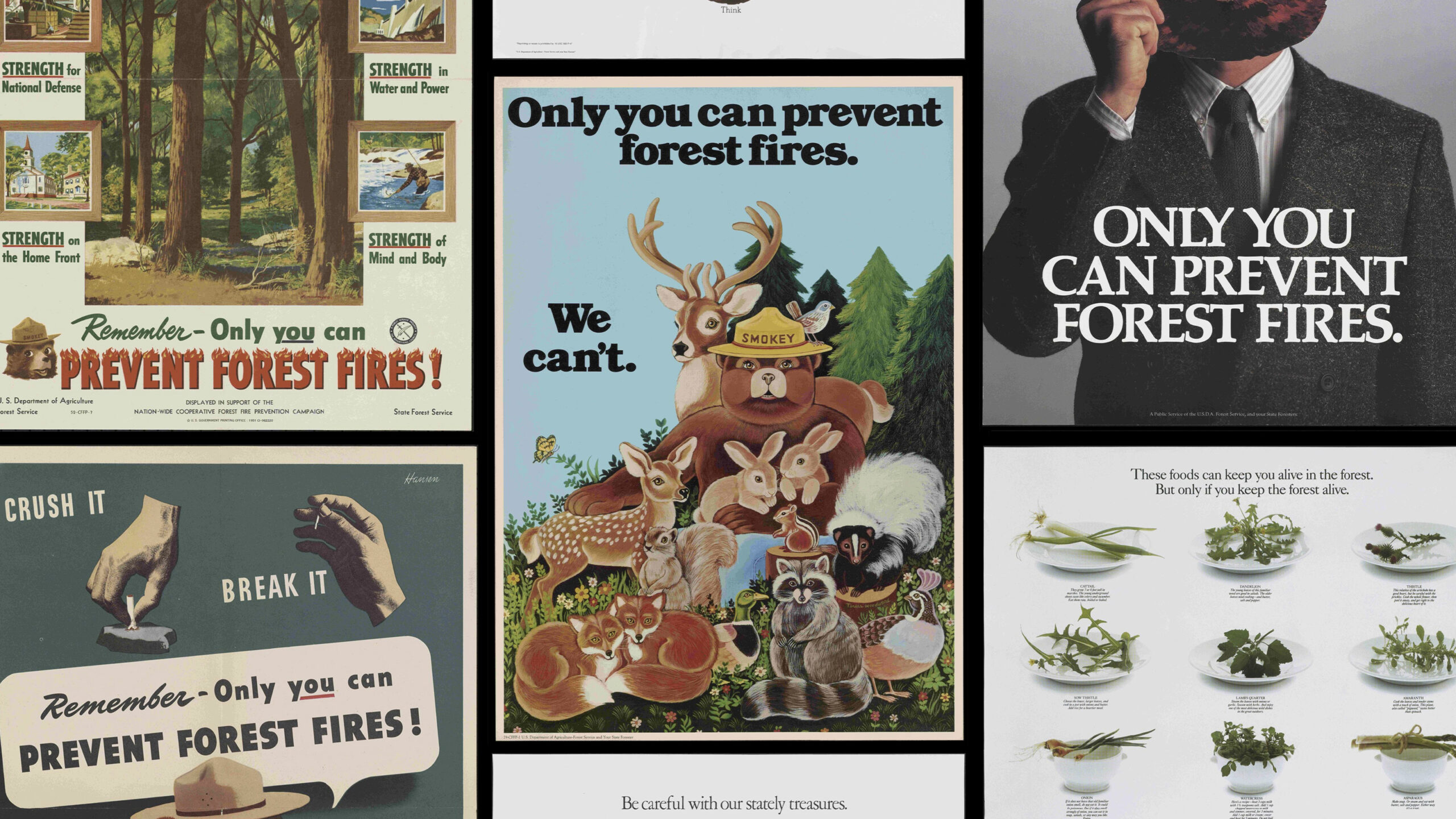 A grid of 7 vintage Smokey Bear posters