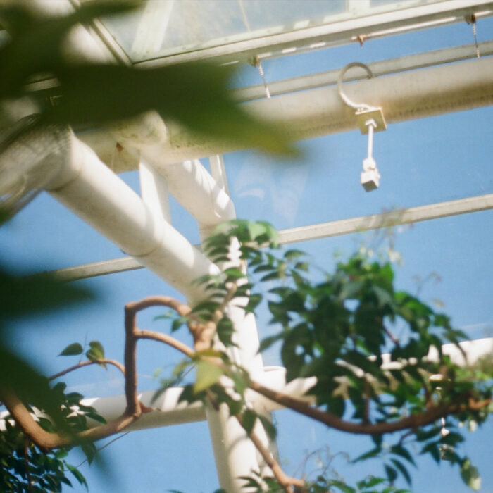 A photo of the inside of the DOI Atmospheric Observation Program Biosphere 1 shows a blue sky beyond white frames and glass, a monitoring beacon hangs above lush foliage