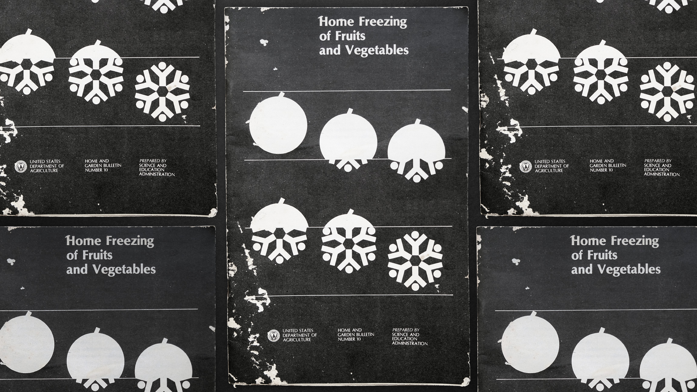 A grid of the cover of a 1978 print of something called Home Freezing of Fruits and Vegetables by the USDA - a round fruit is seen in sequence slowly turning into a snowflake