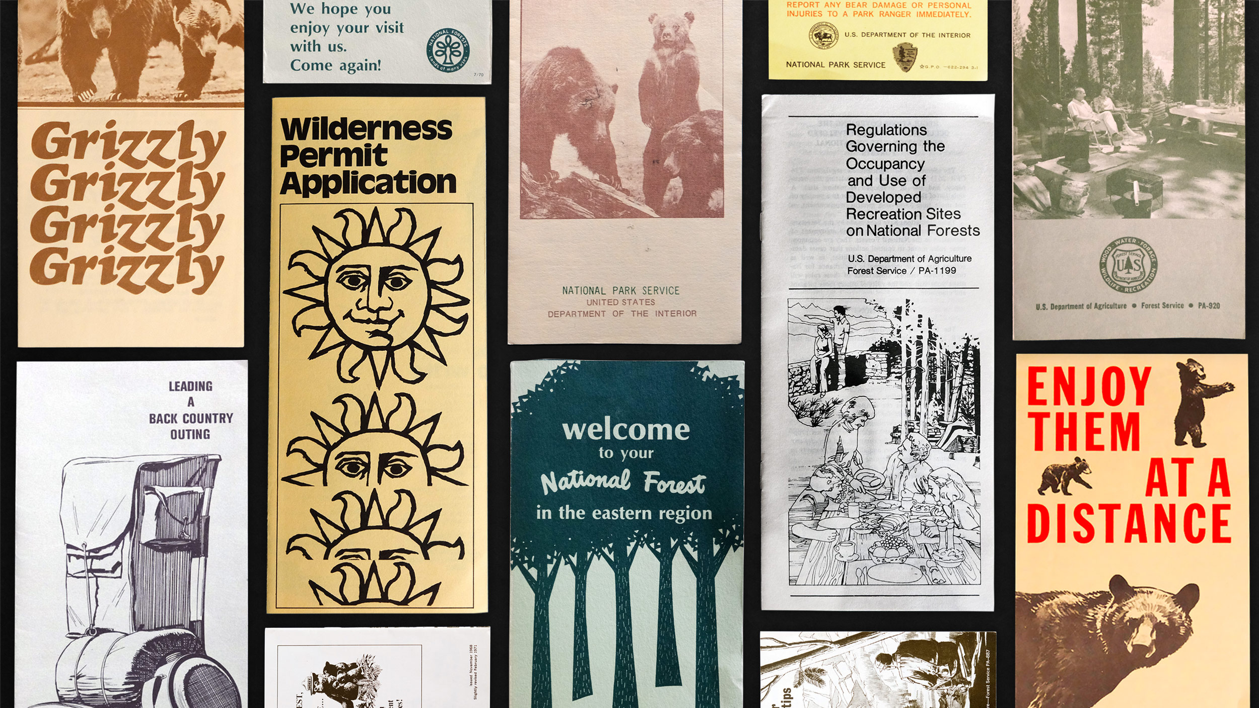 A colorful grid of vintage Forest Service pamphlets in alternating patterns