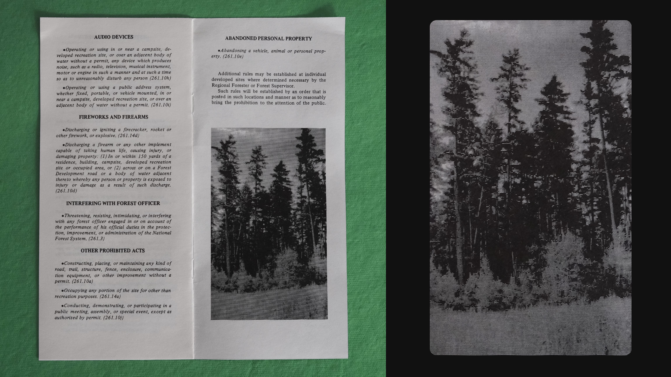 A vintage Forest Service pamphlet shows large blocks of black text on white paper and a black and white photograph of four tall trees in a meadow