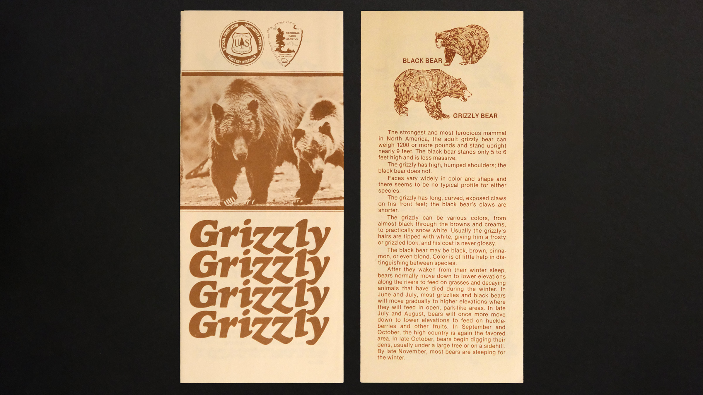 A vintage Forest Service pamphlet shows a photo of two grizzlies with the text "Grizzly" repeated four times below