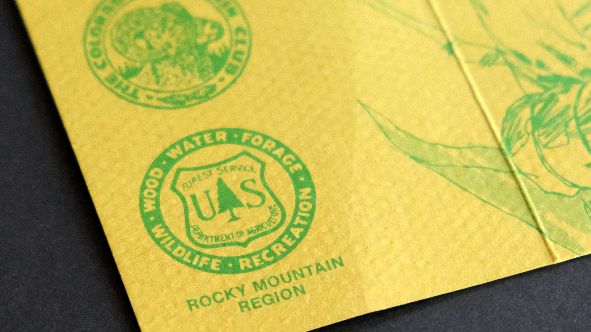 A very close shot of a vintage small textured yellow folding book for the Rocky Mountain Region of the Forest Service