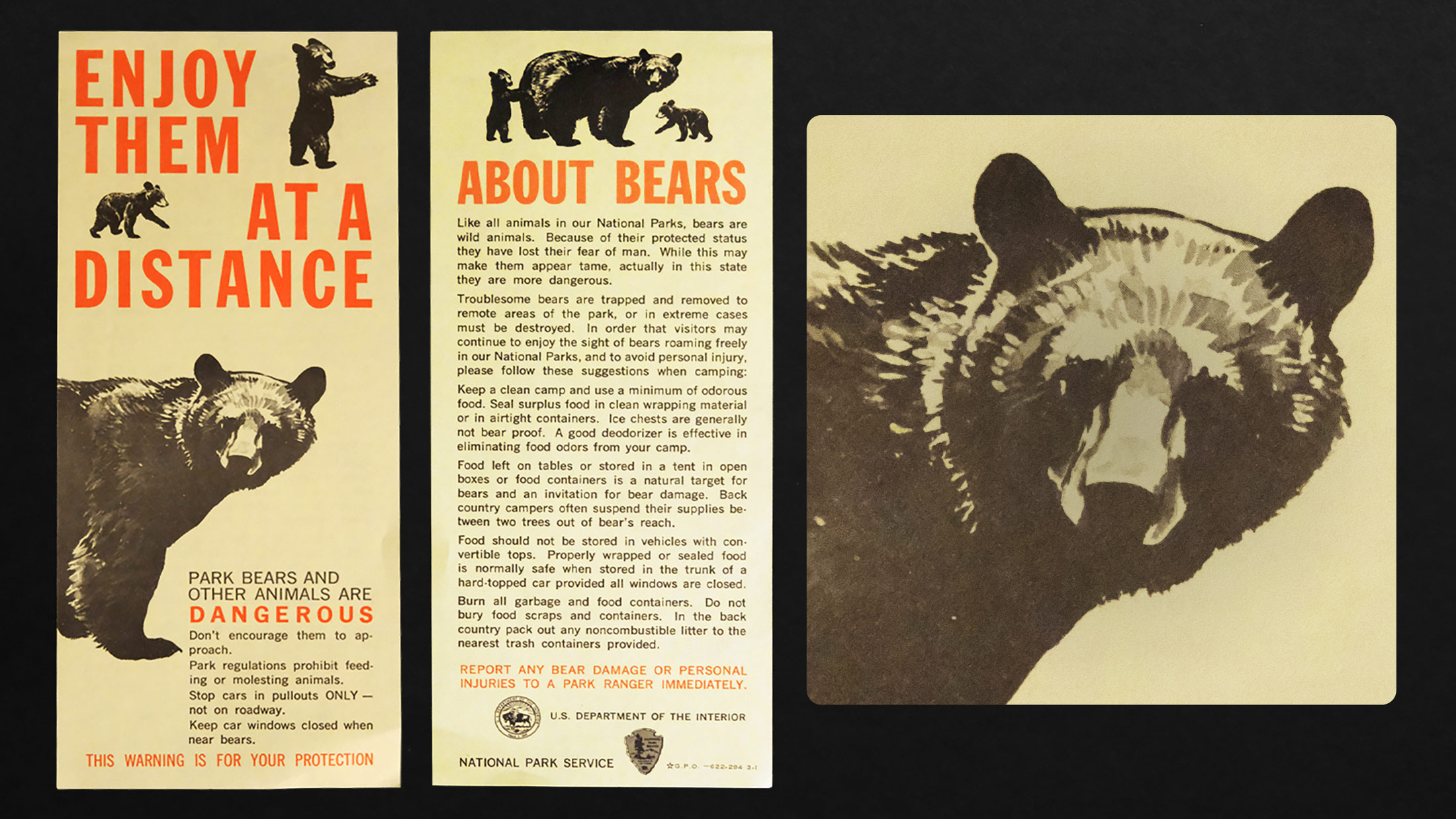 A vintage Forest Service pamphlet shows an illustration of a large brown bear staring at the reader, two cubs above, with the text in all caps bright orange "Enjoy them at a distance"